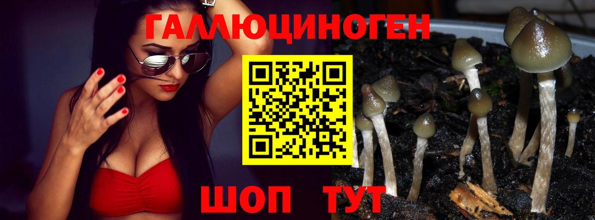 Галлюциногенные грибы Psilocybine cubensis Алушта
