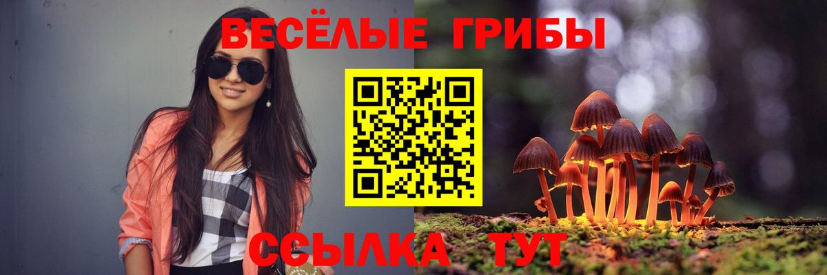 Алушта  Галлюциногенные грибы MAGIC MUSHROOMS  Вход с VPN 